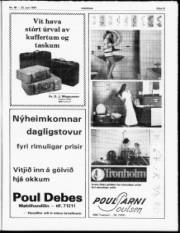 Síða 21
