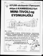 Síða 22