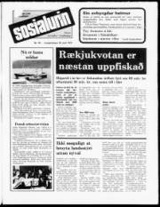 Síða 1
