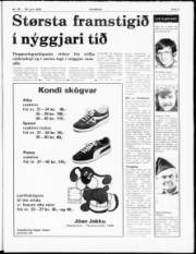 Síða 3