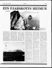 Síða 9