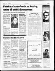 Síða 3