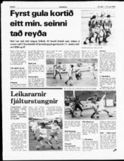 Síða 6