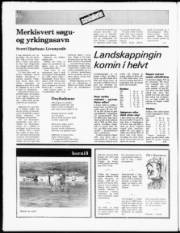 Síða 12