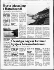 Síða 7