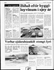 Síða 4