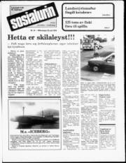 Síða 1