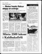 Síða 5