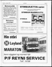 Síða 11