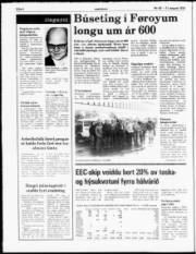 Síða 4