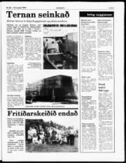 Síða 5