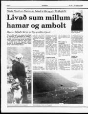 Síða 6