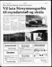 Síða 3