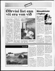 Síða 12