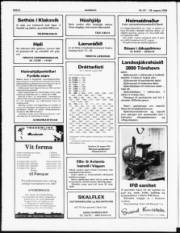 Síða 6