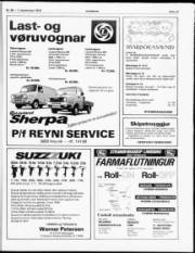 Síða 11