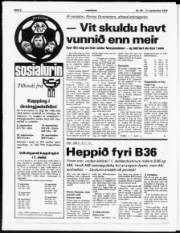 Síða 8