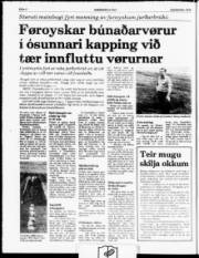 Síða 4