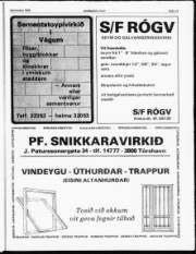 Síða 13