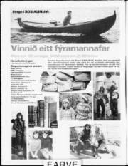Síða 20