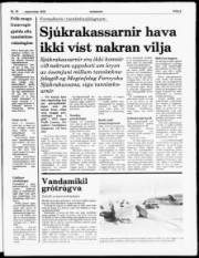 Síða 3