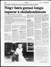 Síða 8