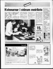 Síða 19