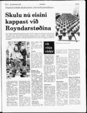Síða 3