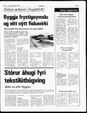 Síða 5