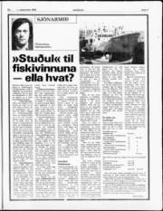 Síða 7