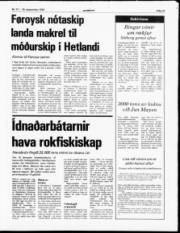 Síða 11