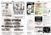 Síða 15