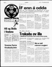 Síða 8