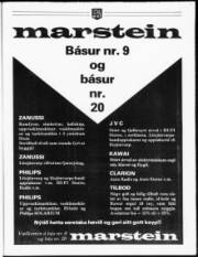 Síða 13