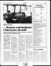 Síða 3