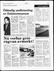 Síða 5