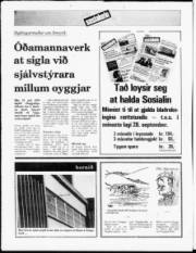Síða 20
