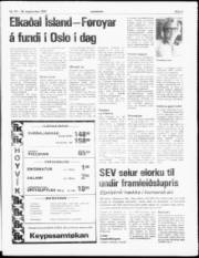 Síða 3