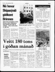 Síða 5
