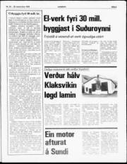 Síða 3