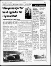 Síða 5