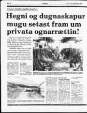 Síða 10