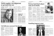 Síða 3