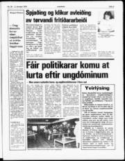 Síða 3
