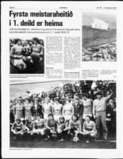 Síða 8