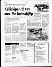 Síða 12