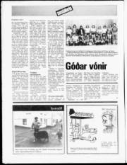 Síða 20
