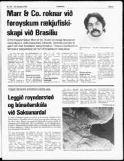 Síða 3