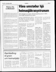Síða 3