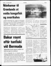 Síða 3